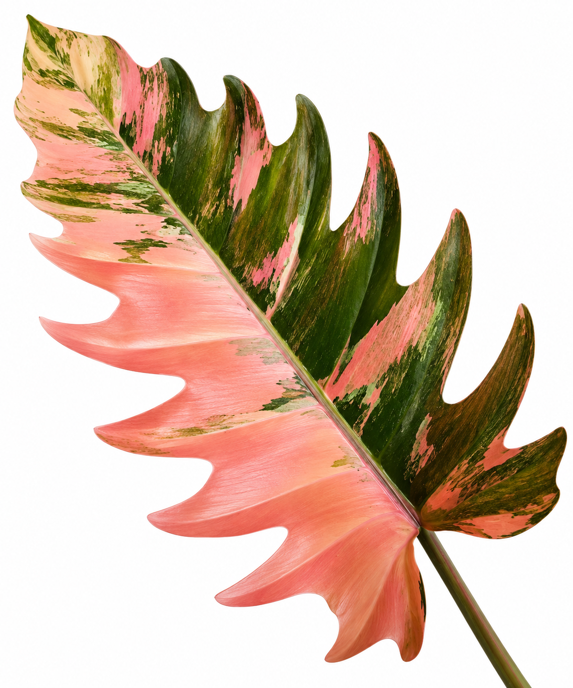Caramel Marble Pink